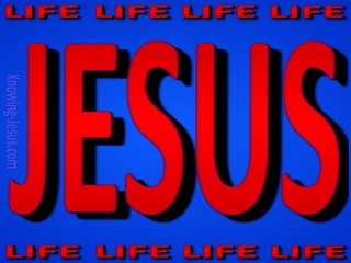 JESUS - Is Life (red)
